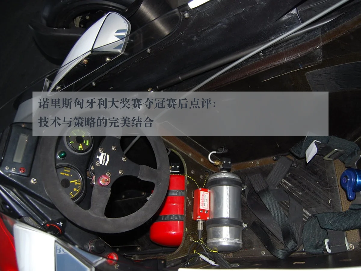 诺里斯匈牙利大奖赛夺冠赛后点评：技术与策略的完美结合